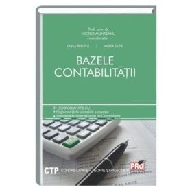 Bazele contabilitatii - Vasile Bleotu, Maria Tilea
