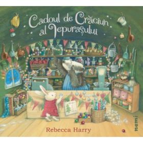 Cadoul de Craciun al iepurasului - Timothy Knapman