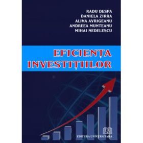 Eficienta investitiilor - Daniela Zirra, Andreea-Clara Munteanu, Mihai Nedelescu, Alina Avrigeanu, Radu Despa
