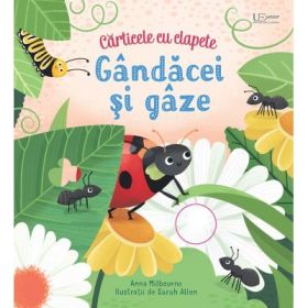 Gandacei si gaze. Clapete (Usborne) - Usborne Books
