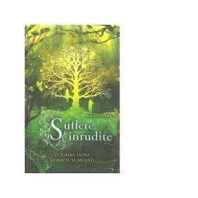 Suflete inrudite. O iubire intre vesnicie si moarte - Nica Stevens
