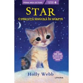 Star, o pisicuta singura in noapte - Holly Webb