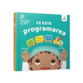 Ce este programarea - Ruth Spiro, Irene Chan