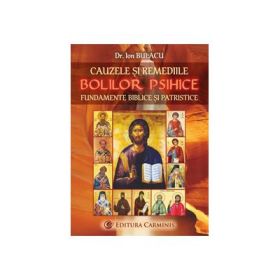 Cauzele si remediile bolilor psihice. Fundamente biblice si patristice - Ion Bulacu