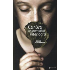 Cartea de gramatica interioara - David Grossman