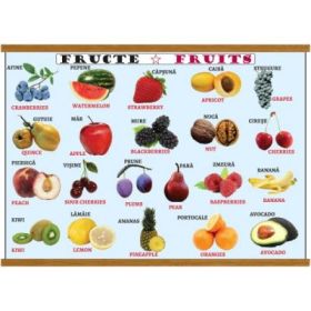 Plansa legume / fructe, plastifiata cu agatatoare