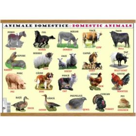 Plansa animale domestice / animale salbatice, plastifiata cu agatatoare