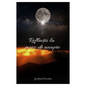 Reflectii la miez de noapte - Gabriel Niculae