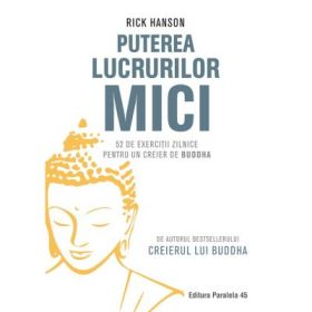 Puterea lucrurilor mici. 52 de exercitii zilnice pentru un creier de Buddha - Rick Hanson