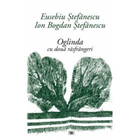 Oglinda cu doua rasfrangeri - Eusebiu Stefanescu, Ion Bogdan Stefanescu