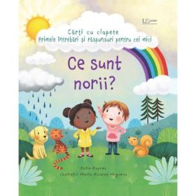 Ce sunt norii? (Usborne) - Katie Daynes