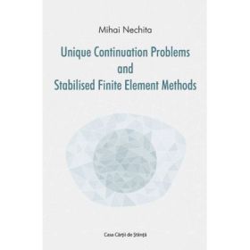 Unique continuation problems and stabilised finite element methods - Mihai Nechita