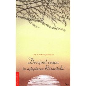 Decojind ceapa in asteptarea Rasaritului - Cristian Muntean