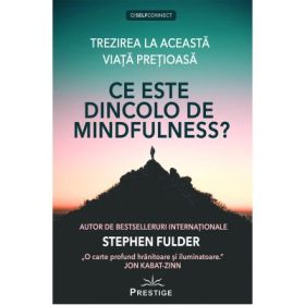 Ce este dincolo de Mindfulness? - Stephen Fulder