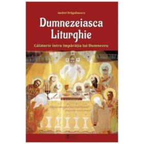 Dumnezeiasca Liturghie - Andrei Dragulinescu