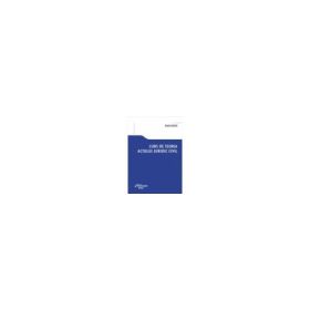 Curs de teoria actului juridic civil - Radu Rizoiu
