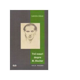 Trei eseuri despre M. Blecher - Gabriela Glavan
