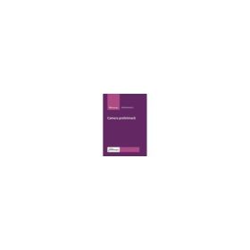Camera preliminara - Bogdan Micu
