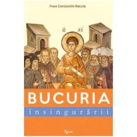 Bucuria insingurarii - Constantin Necula