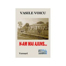 N-am mai ajuns... Versuri - Vasile Voicu
