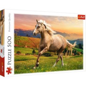 Puzzle cal la galop in asfintit 500 piese
