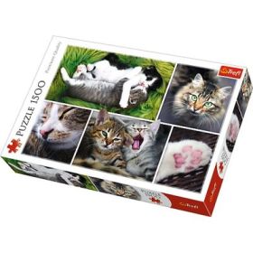 Puzzle viata pisicilor, 1500 piese Trefl