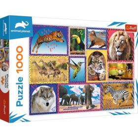 Puzzle natura salbatica 1000 piese