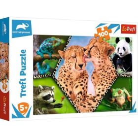 Puzzle natura frumoasa 100 piese