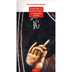 Vindecarile lui Hristos si vindecarea noastra - Constantin Necula