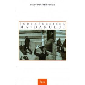 Indumnezeirea maidanului - Constantin Necula