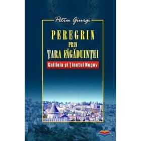 Peregrin prin Tara Fagaduintei. Galileia si Tinutul Negev, Volumul 1 - Petru Giurgi