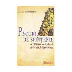 Piscuri de sfintenie. O calauza ortodoxa prin anul bisericesc - Arhim. Andrei Coroian