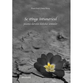 Se stinge intunericul. Pecetea darului duhului semnelor - Iosif Zoica-Teius