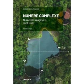 Volumul 24. Mari idei ale matematicii. Numere complexe. Numerele imaginare sunt reale - Bartolo Luque