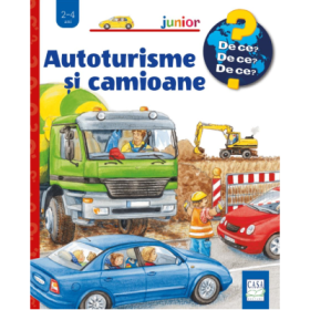 Autoturisme si camioane - Andrea Erne