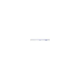 Rigla plastic 30cm (DN101232)