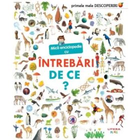 Primele mele descoperiri. Mica enciclopedie cu intrebari. De ce? - Sophie Lamoureux