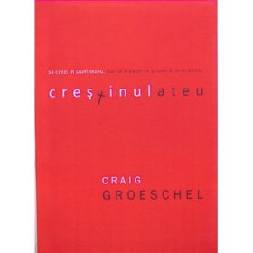 Crestinul ateu. Sa crezi in Dumnezeu, dar sa traiesti ca si cum El n-ar exista - Craig Groeschel