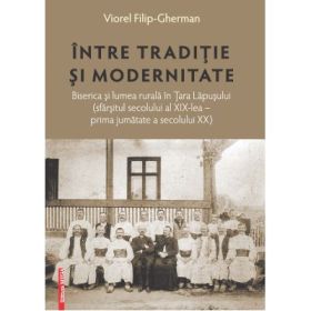 Intre traditie si modernitate - Viorel Filip-Gherman