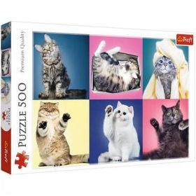 Puzzle pisicute, 500 piese, Trefl
