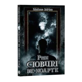 Prin cioburi de noapte - Adrian Nastase