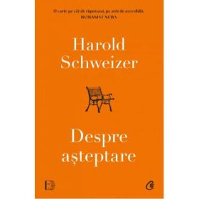 Despre asteptare - Harold Schweizer