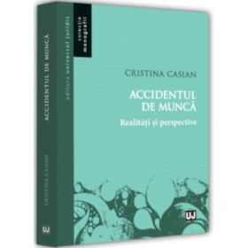 Accidentul de munca. Realitati si perspective - Cristina Casian