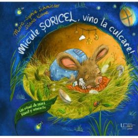 Micule soricel, vino la culcare! - Marie-Sophie Schmieder, Diana Kohne