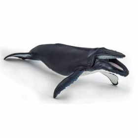 Figurina balena cu cocoasa, Papo