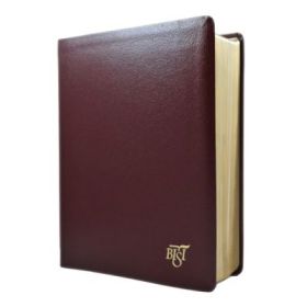 Biblia Internatonala de Studiu Inductiv, BISI, visinie