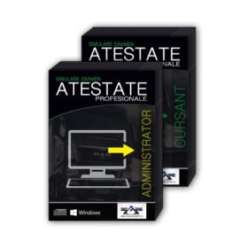 Atestate Profesionale. Examinare ARR