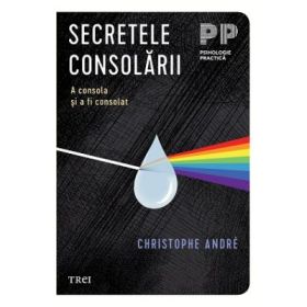 Secretele consolarii. A consola si a fi consolat - Christophe Andre
