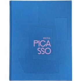 Efectul Picasso. Influenta lui Picasso asupra artei romanesti din anii ‘60 pana la ora actuala - Erwin Kessler, Joanne Snrech