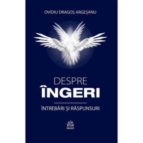 Despre ingeri - intrebari si raspunsuri - Ovidiu Dragos Argesanu